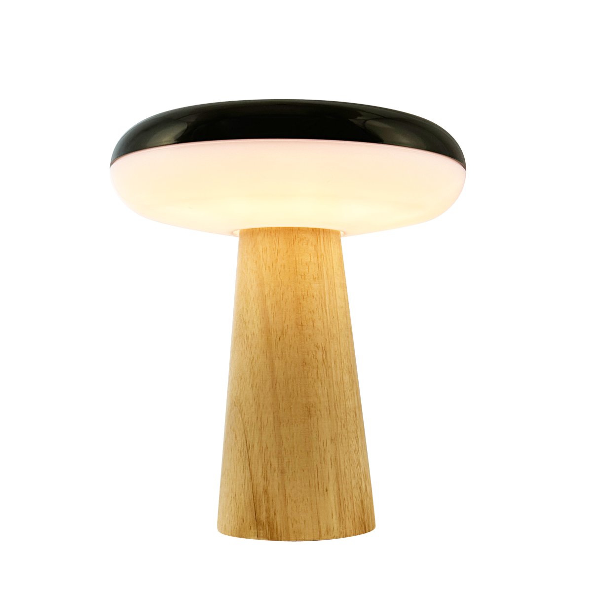 2 Ways 25cm Tre bærbar Fra Dyberg Larsen - Bruk den som en klassisk bordlampe eller heng den fra taket med den medfølgende lærremmen for en svevende og stemningsfull effekt.