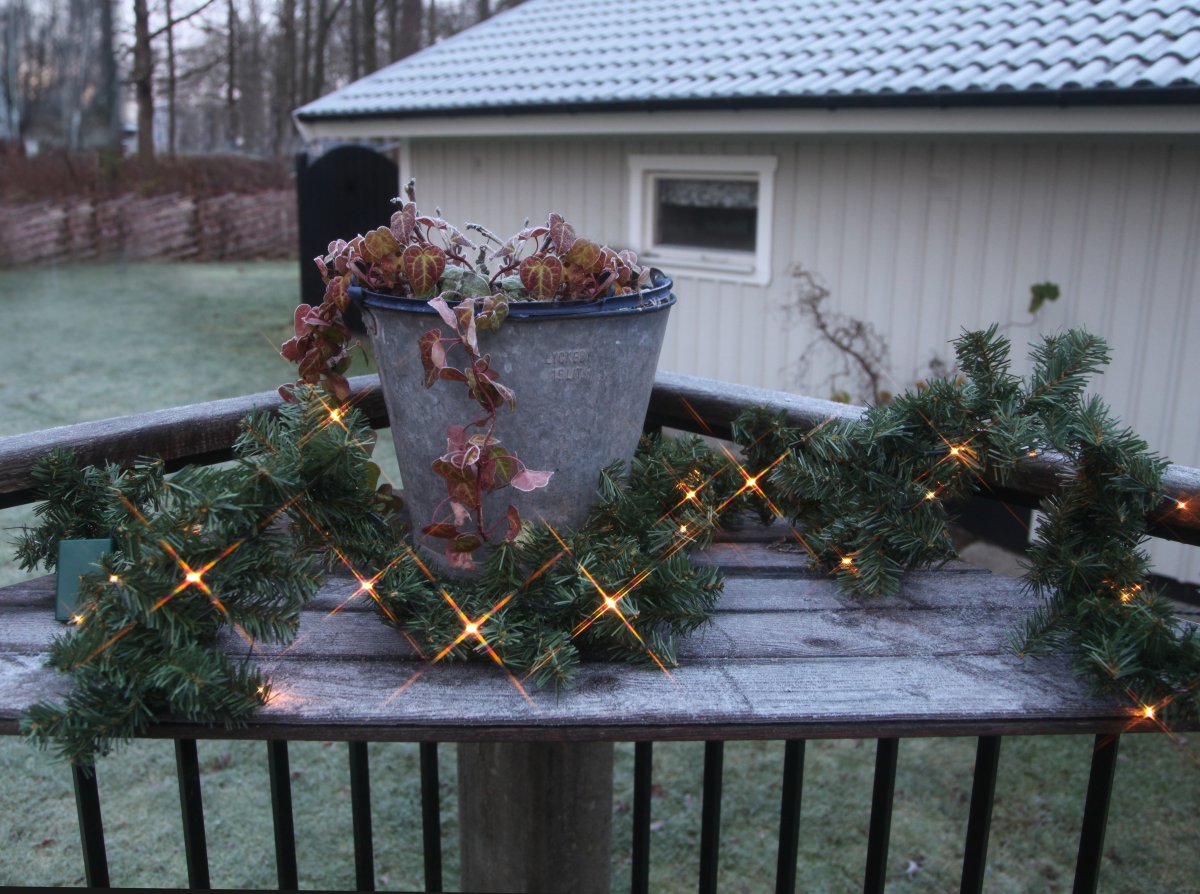 Canadian 250cm Grønn Fra Star Trading - Batteridrevet krans med 30 LED-lys.