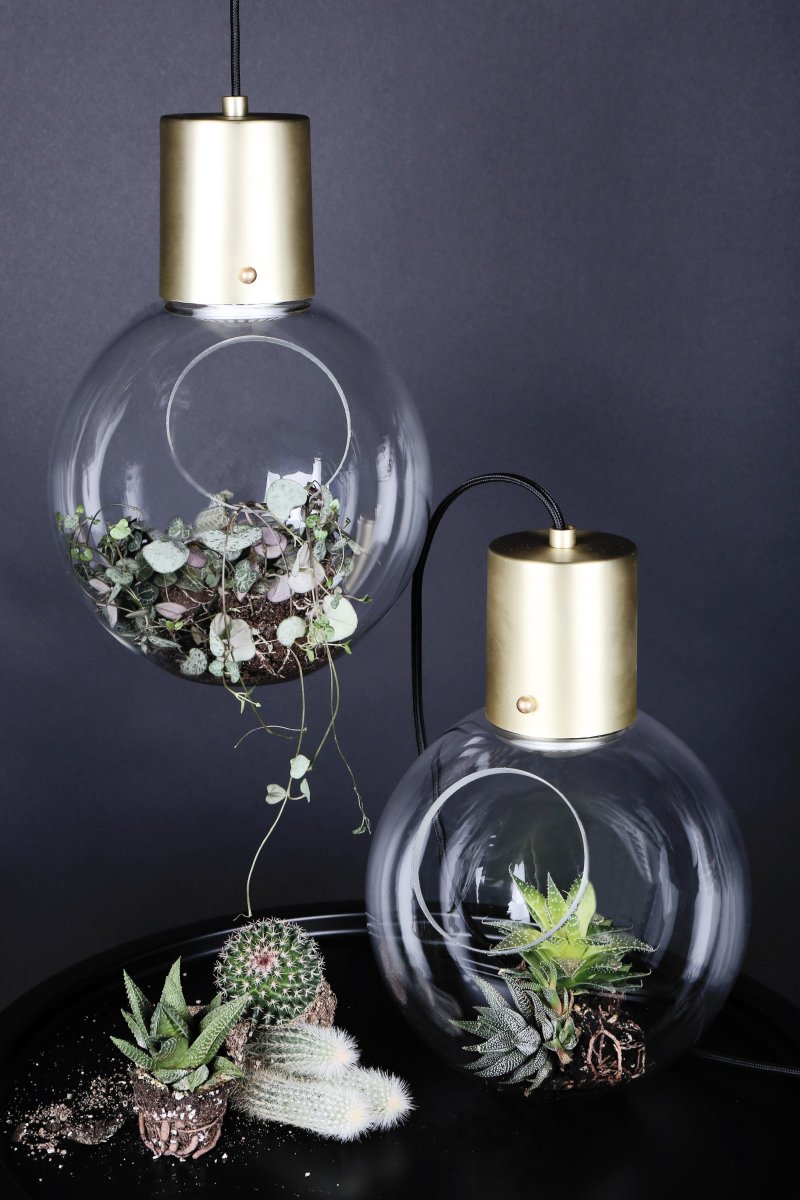 Mini Hole Ø20 Børstet messing Taklampe Fra Globen Lighting - Liten pendel / bordlampe designet med en skr&aring; &aring;pning i den klare glasskulen.