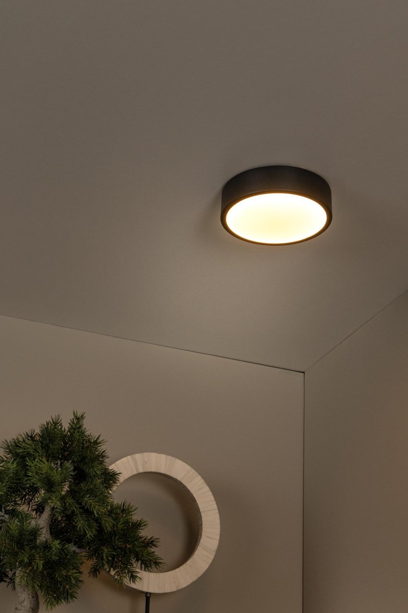 Unar Ø20 Svart plafond Fra Lucide - Med sin runde metallramme og et matt deksel over den integrerte LED-lyskilden passer denne taklampen inn i alle interiører og rom.
