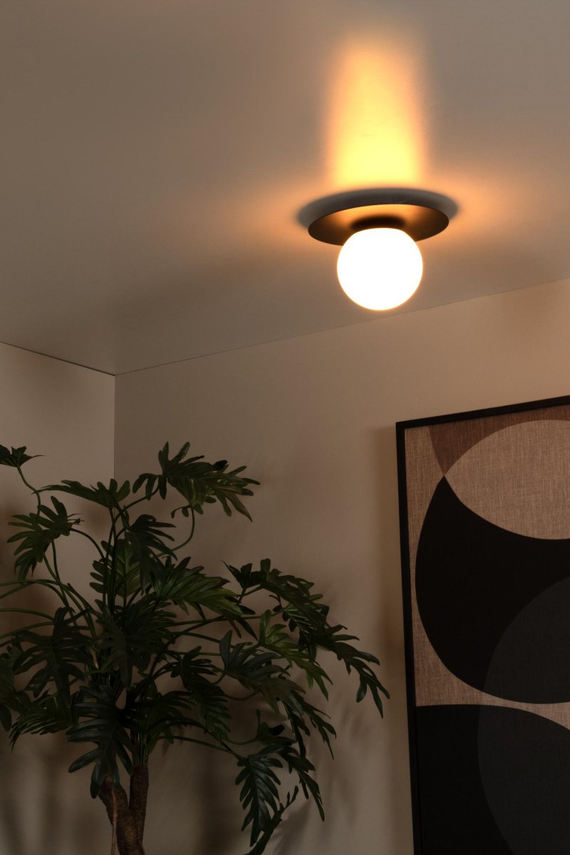 Tricia Ø25 Svart plafond Fra Lucide - Glassfiberen med lyskilden i kjernen er montert på; en stilig metallplate.