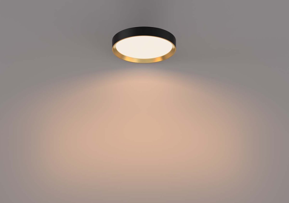 Hanno Ø38 Svart plafond Fra Philips - Philips Hanno SceneSwitch LED-taklampen gir deg tre lysstyrkenivåer som er perfekte for enhver anledning.