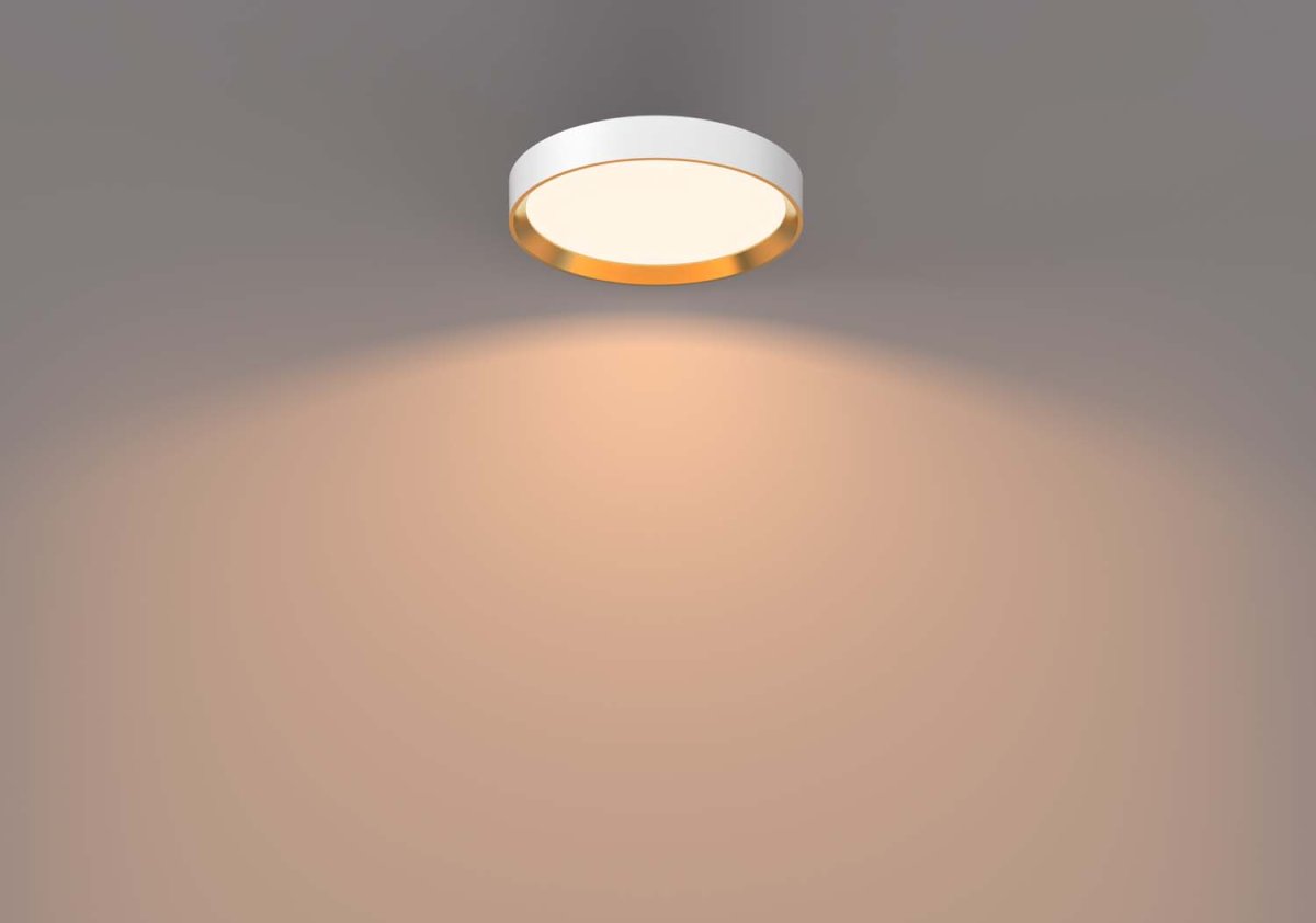 Hanno Ø38 Hvit plafond Fra Philips - Philips Hanno SceneSwitch LED-taklampen gir deg tre lysstyrkeniv&aring;er som er perfekte for enhver anledning.