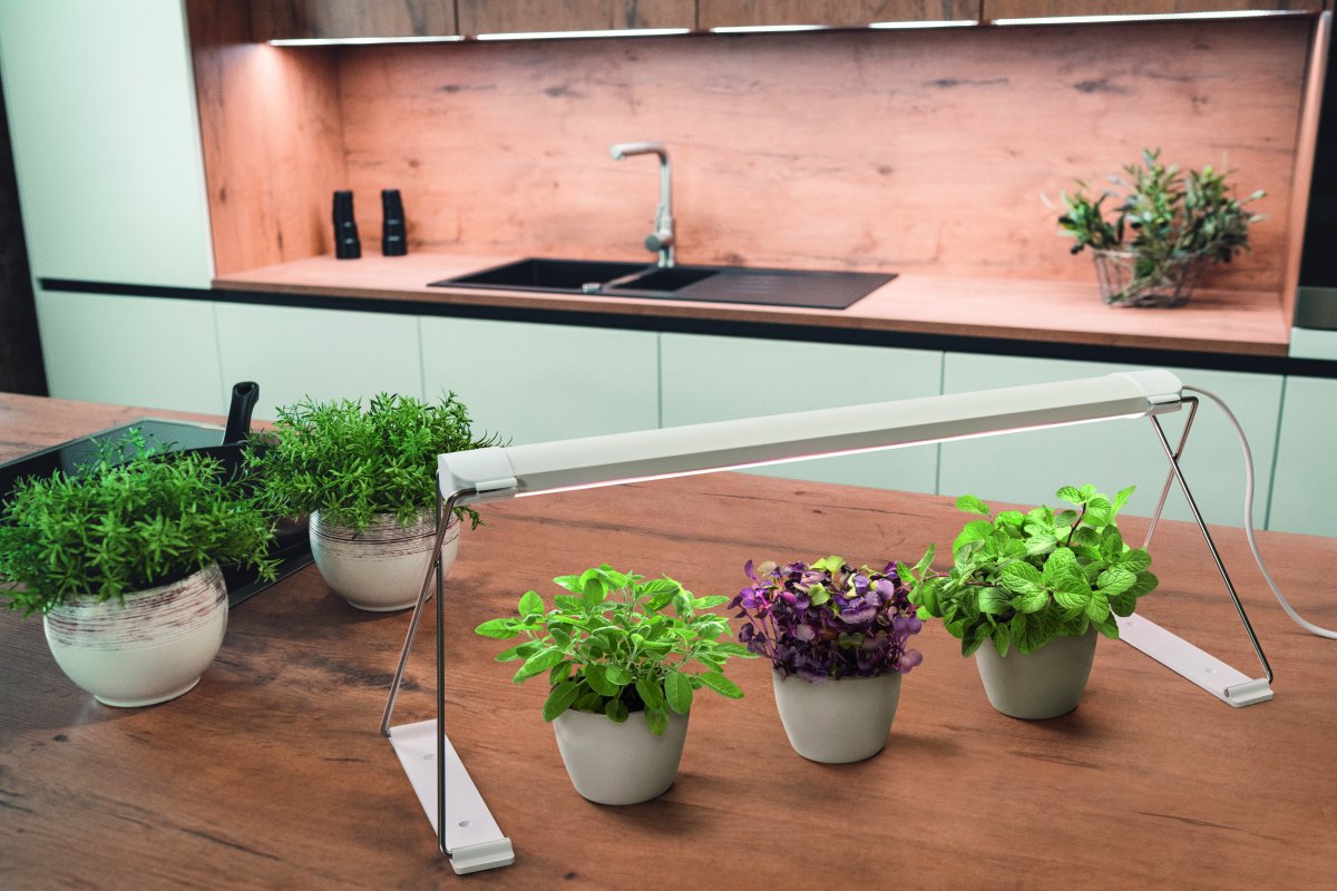 Vekstlampe Garden Light Stand Hvit Fra Ledvance - Du plasserer plantene dine enkelt under og mater dem med et spesialutviklet LED-spekter av hvite og r&oslash;de lysdioder som fremmer fotosyntesen i de fleste planter og hjelper dem &aring; vokse.