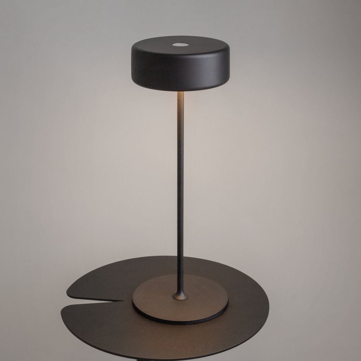AI Collaboration 35cm Svart bærbar Fra Maytoni - Lampen er tilgjengelig i tv&aring; utførelse: med en tynn metallstang på; en flat rund bunn eller med en glassbunn som integrerer en vase.