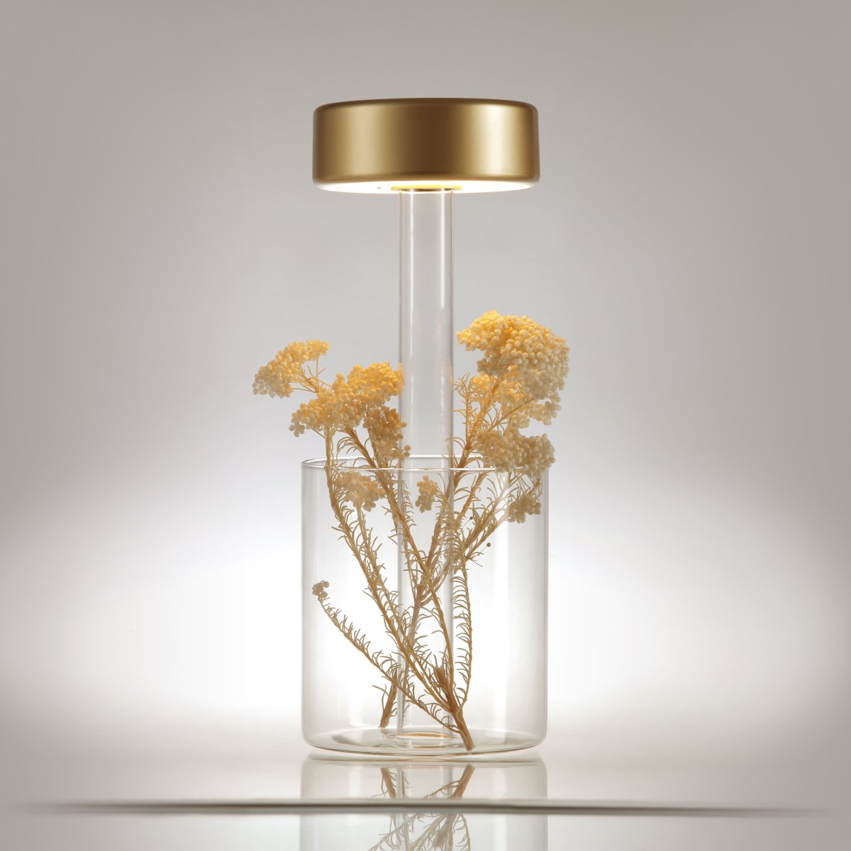 AI Collaboration 35cm Gull bærbar Fra Maytoni - Lampen er tilgjengelig i tv&aring; utførelse: med en tynn metallstang på; en flat rund bunn eller med en glassbunn som integrerer en vase.