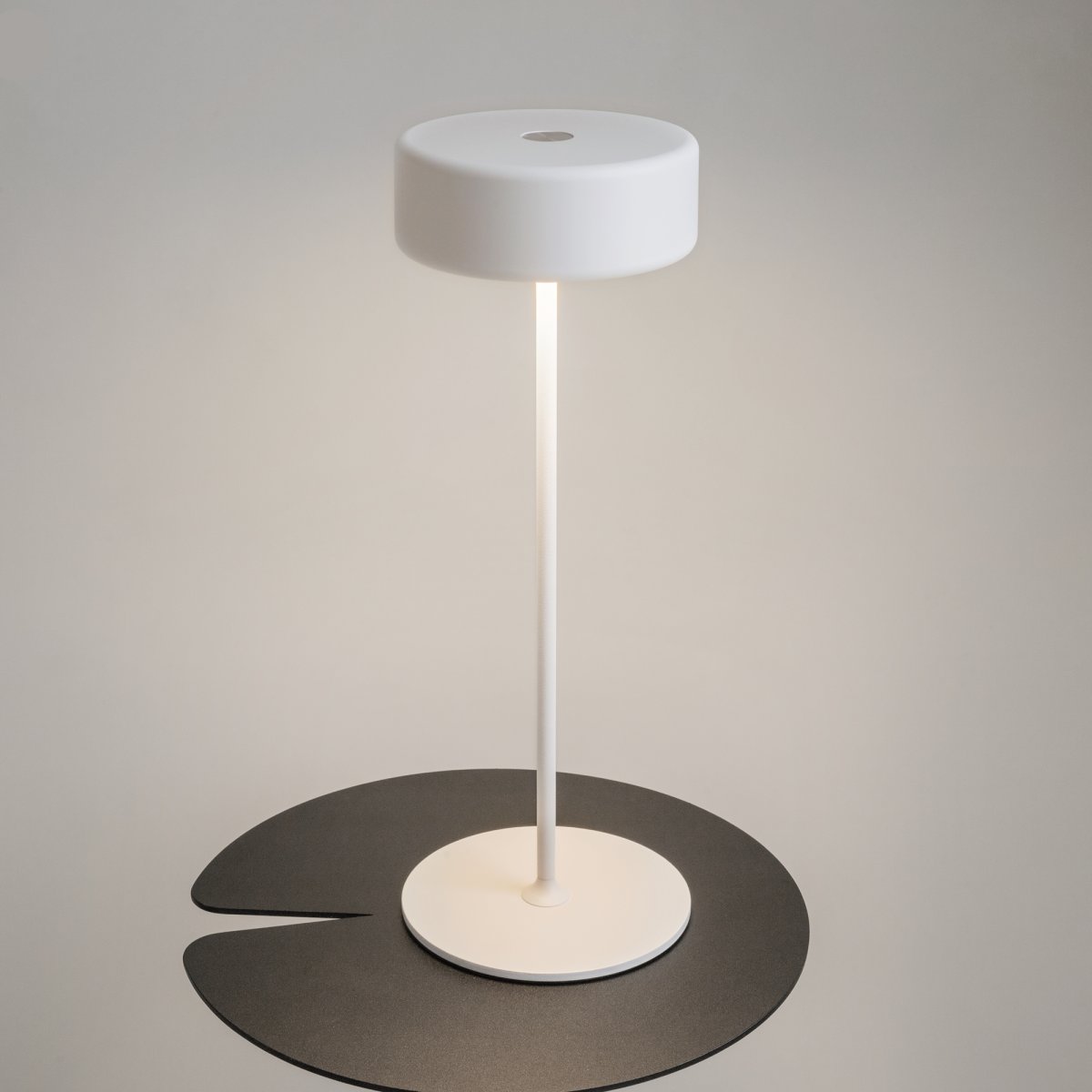 AI Collaboration 35cm Hvit bærbar Fra Maytoni - Lampen er tilgjengelig i tv&aring; utførelse: med en tynn metallstang på; en flat rund bunn eller med en glassbunn som integrerer en vase.