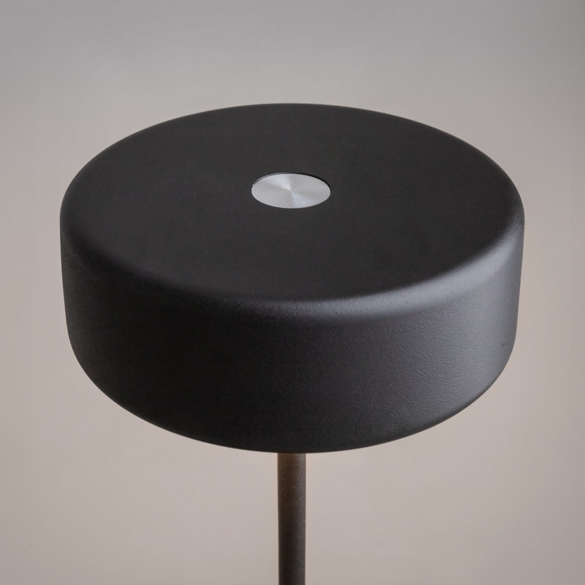 AI Collaboration 35cm Svart bærbar Fra Maytoni - Lampen er tilgjengelig i tv&aring; utførelse: med en tynn metallstang på; en flat rund bunn eller med en glassbunn som integrerer en vase.