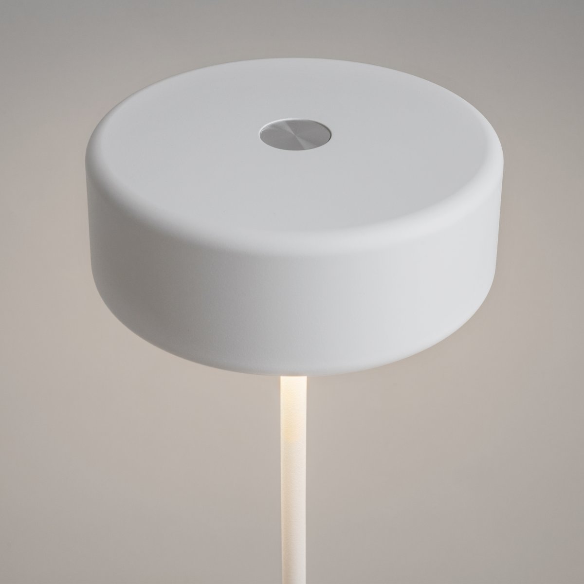 AI Collaboration 35cm Hvit bærbar Fra Maytoni - Lampen er tilgjengelig i tv&aring; utførelse: med en tynn metallstang på; en flat rund bunn eller med en glassbunn som integrerer en vase.