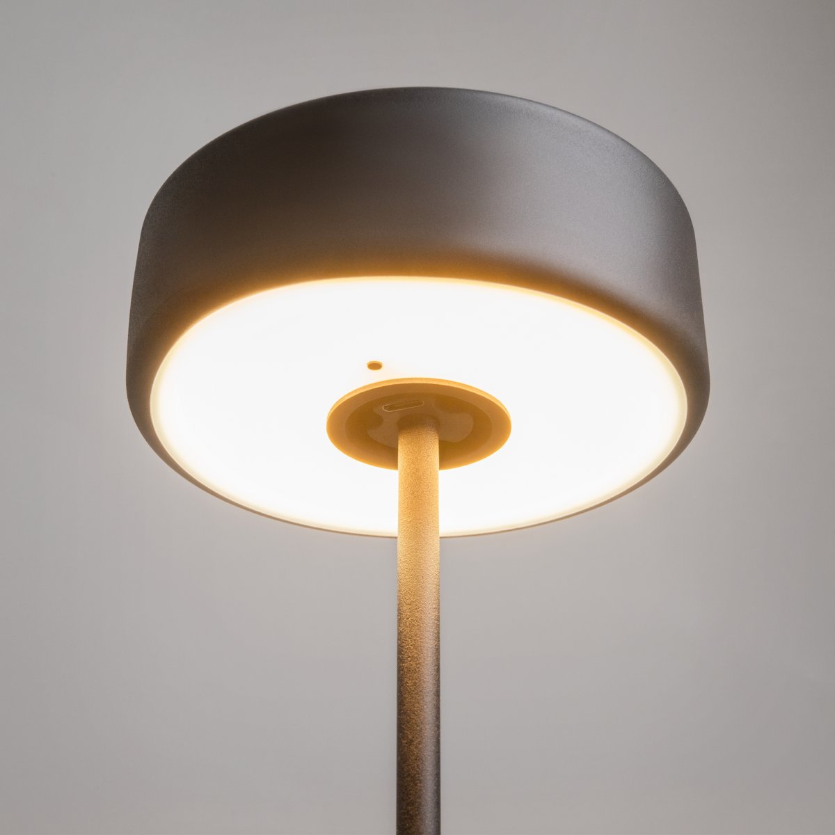 AI Collaboration 35cm Svart bærbar Fra Maytoni - Lampen er tilgjengelig i tv&aring; utførelse: med en tynn metallstang på; en flat rund bunn eller med en glassbunn som integrerer en vase.