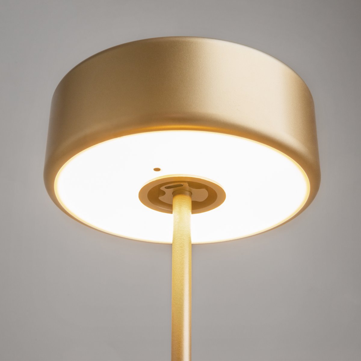 AI Collaboration 35cm Gull bærbar Fra Maytoni - Lampen er tilgjengelig i tv&aring; utførelse: med en tynn metallstang på; en flat rund bunn eller med en glassbunn som integrerer en vase.