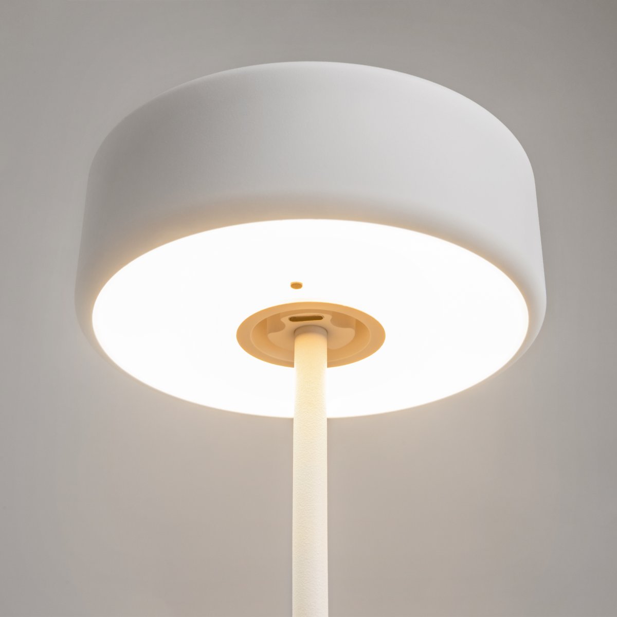 AI Collaboration 35cm Hvit bærbar Fra Maytoni - Lampen er tilgjengelig i tv&aring; utførelse: med en tynn metallstang på; en flat rund bunn eller med en glassbunn som integrerer en vase.
