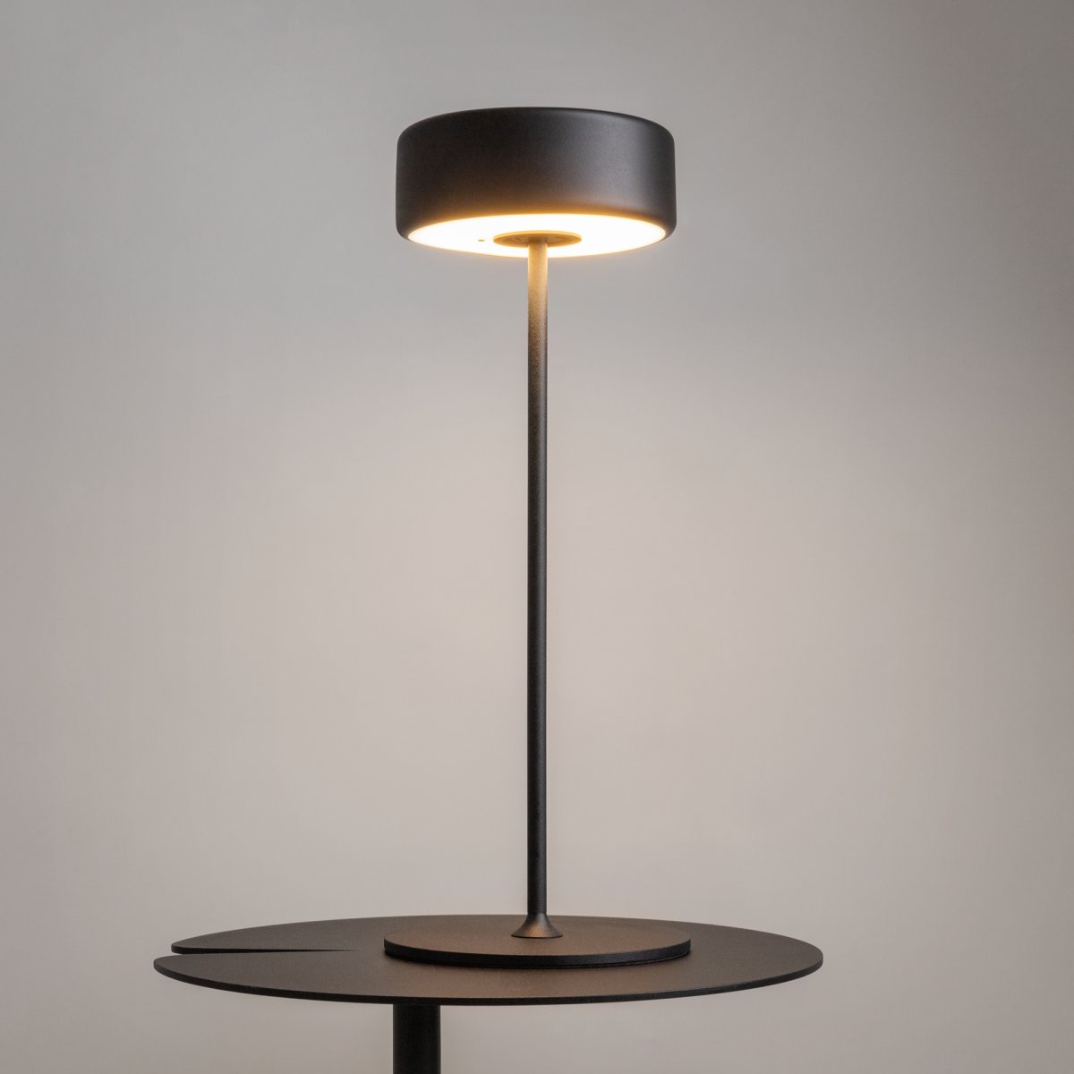 AI Collaboration 35cm Svart bærbar Fra Maytoni - Lampen er tilgjengelig i tv&aring; utførelse: med en tynn metallstang på; en flat rund bunn eller med en glassbunn som integrerer en vase.