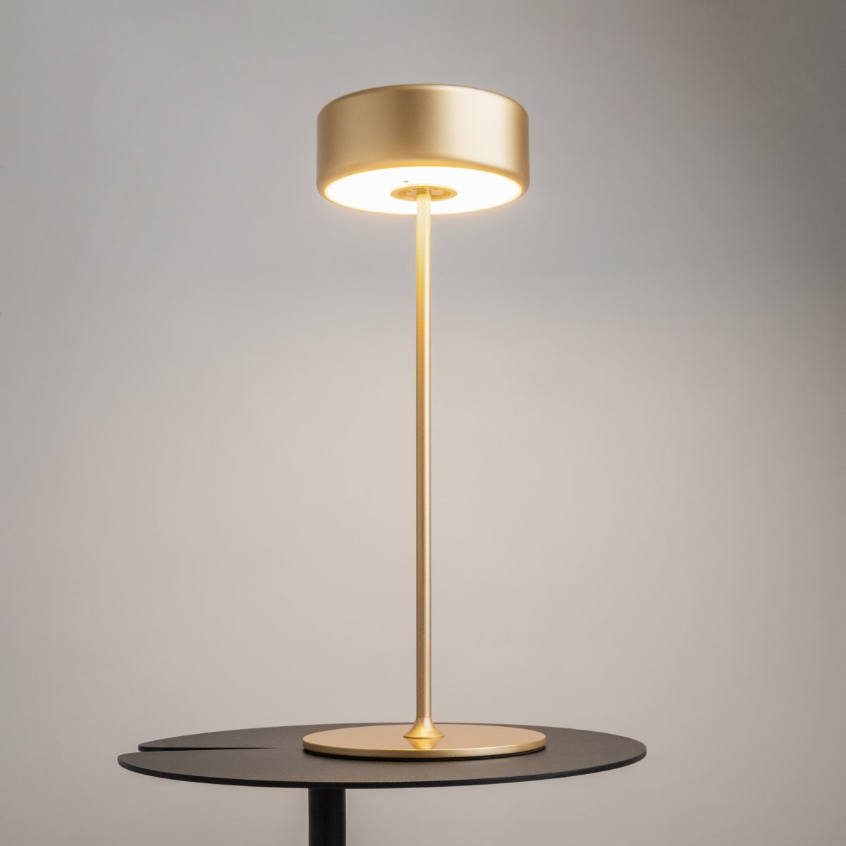 AI Collaboration 35cm Gull bærbar Fra Maytoni - Lampen er tilgjengelig i tv&aring; utførelse: med en tynn metallstang på; en flat rund bunn eller med en glassbunn som integrerer en vase.
