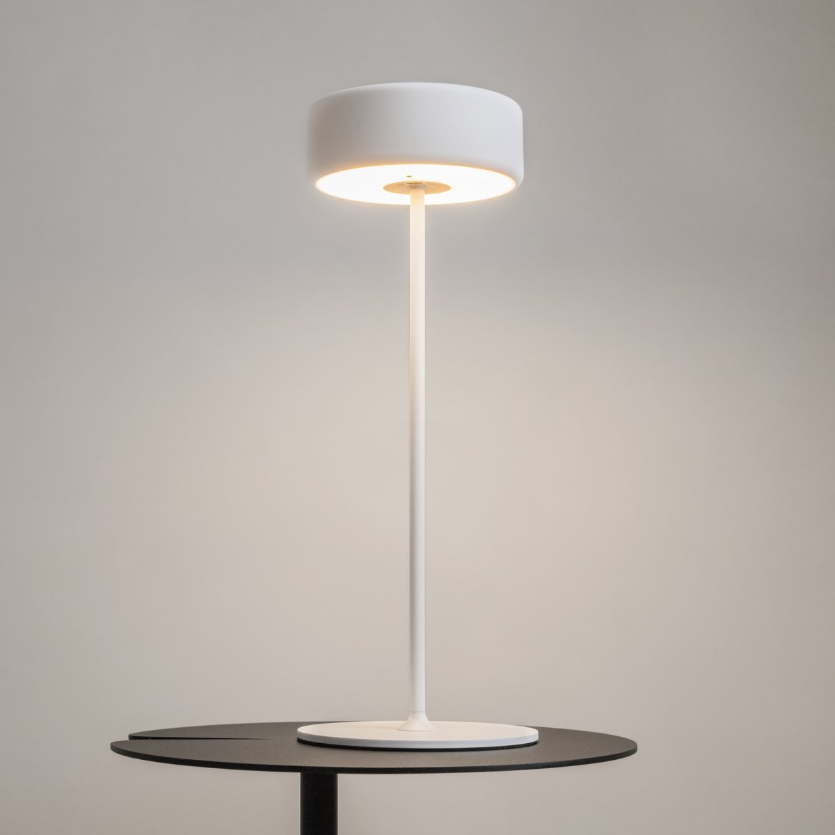 AI Collaboration 35cm Hvit bærbar Fra Maytoni - Lampen er tilgjengelig i tv&aring; utførelse: med en tynn metallstang på; en flat rund bunn eller med en glassbunn som integrerer en vase.