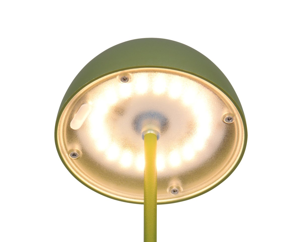 Ortiz 20cm Grønn bærbar Fra Trio Lighting - 