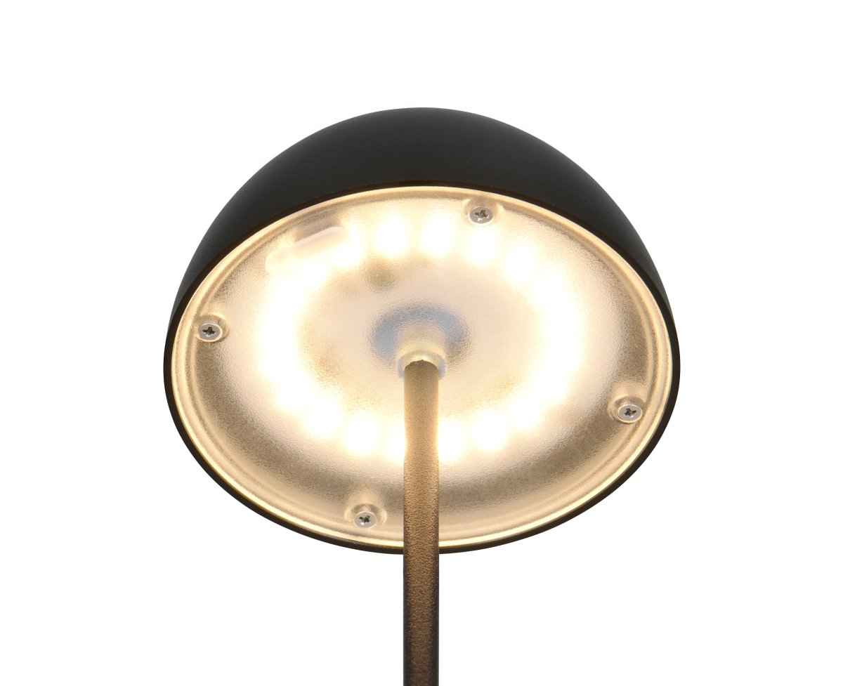 Ortiz 20cm Svart bærbar Fra Trio Lighting - 