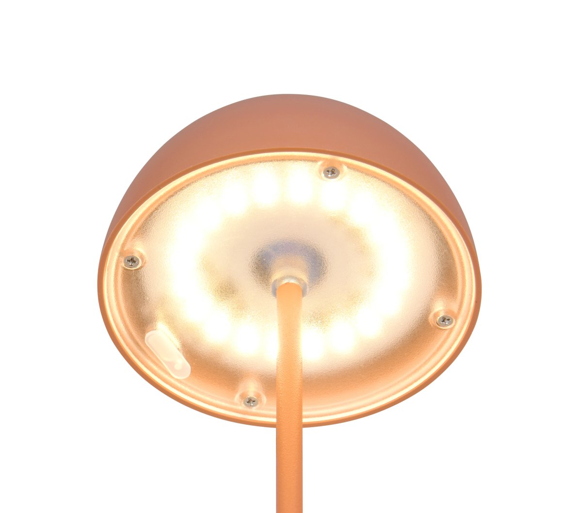 Ortiz 20cm Aprikos bærbar Fra Trio Lighting - 
