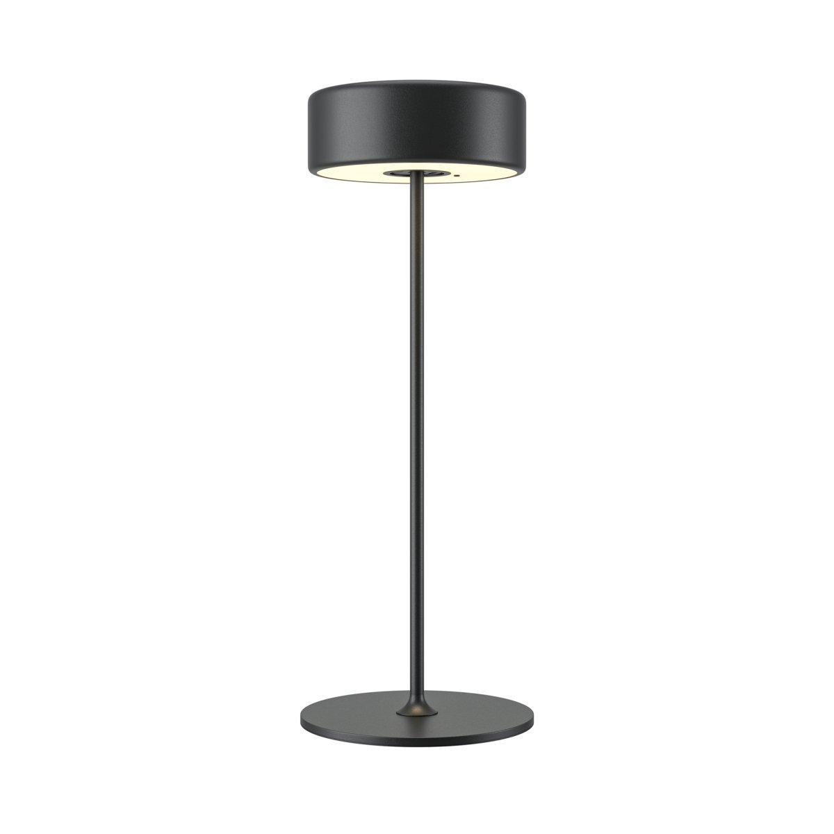 AI Collaboration 35cm Svart bærbar Fra Maytoni - Lampen er tilgjengelig i tv&aring; utførelse: med en tynn metallstang på; en flat rund bunn eller med en glassbunn som integrerer en vase.